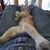 Debbie Brewer's profile image