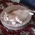 Karen Edwards's profile image
