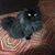 Cheri M. White's profile image