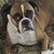 Sandra Mims's profile image