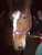 Laura C.'s profile image