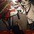 Marco Bertozzi's profile image