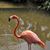 Rachel Roose Mercure's profile image