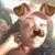 Princess SweetPea's profile image