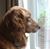 Marilyn Mulholland's profile image