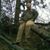 Dale Jones's profile image