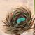 Dawn M Dwyer's profile image