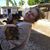 Tish Sullivan Finnieston's profile image