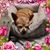 Vicki Montoya's profile image