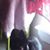 Nidza Infante's profile image