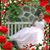 Hank Crooks's profile image