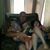 Lori Shook's profile image