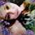 Sil Lopez's profile image