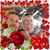 Kristina Mitchell Roach's profile image