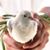 Cynthia Berry's profile image