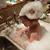 Rachel Susan Wilson's profile image