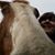 Robin Anderson's profile image