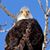 Jeff Krogstad's profile image