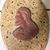 Mary De Luna's profile image