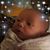 Carol Stipe Elison's profile image