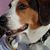 Monica Thistlewood's profile image