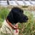 Ryan Robertson's profile image