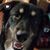 Lori Wilkinson's profile image