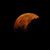 Kayla Manion's profile image