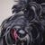 Terri Stephan's profile image
