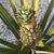 Patricia Lee-Lucardie's profile image
