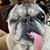 Victoria Raline Blythe's profile image