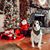Keely Nieper's profile image