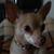 Heidi LaSala-Jacobsen's profile image