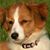 Karen Wylie's profile image