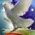 Mar Alvarez Ryiss's profile image