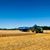 Lippy Brothers Farms's profile image