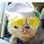Helene Donoghue's profile image