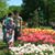 Margarita Andreeff Woelfersheim's profile image