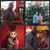 Dee Logsdon's profile image