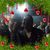 Carlos Roberto Dias's profile image