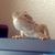 Stephen Carleton's profile image