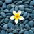 Karen Atwell's profile image