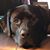 Laura Kelsay Wooton's profile image