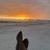 Jennifer Ireland Colvert's profile image