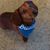 Sharon Turek Johnson's profile image