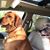 Tiersa Hebert's profile image
