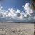 Janine Tainter English's profile image