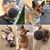 Kelley Pater's profile image