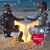Diane Branco's profile image