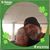 Lynn Giles's profile image
